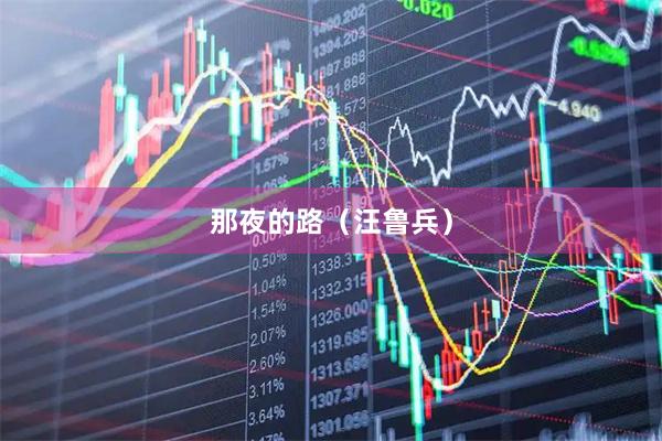 那夜的路（汪鲁兵）