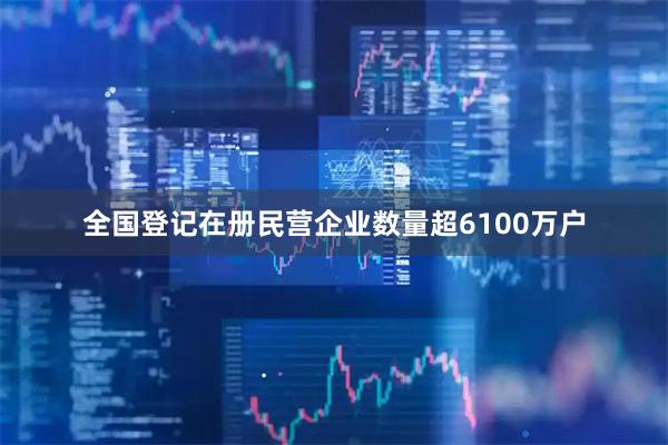 全国登记在册民营企业数量超6100万户