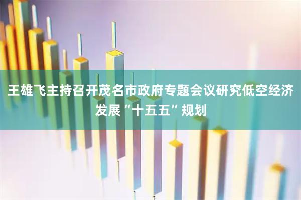 王雄飞主持召开茂名市政府专题会议研究低空经济发展“十五五”规划
